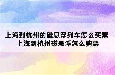 上海到杭州的磁悬浮列车怎么买票 上海到杭州磁悬浮怎么购票